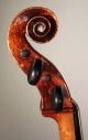 Picollo Baroque Cello From Around 1680 With Neck.  Soundfile String photo 4