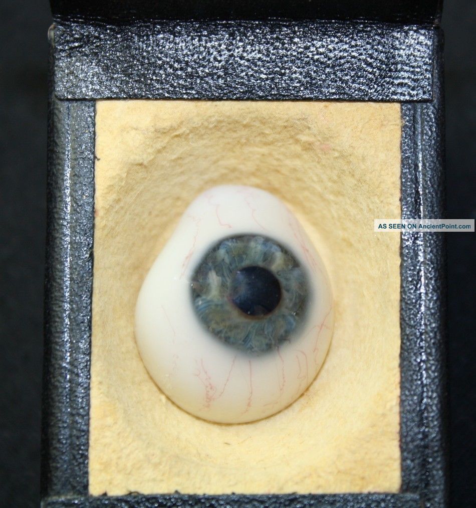 Antique Prosthetic Wwii German Glass Eye Ball Medical Human By Fried & Kohler Optical photo