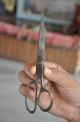 5 Pc Old Iron Unique Shape S & Lion Brand Handcrafted Scissors / Shears Tools, Scissors & Measures photo 6