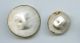 Two Hand Painted Porcelain Buttons Of Roses Edwardian Era Med & Sm Med Buttons photo 1