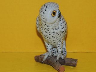 Vintage Folk Art Hand Carved Snow,  White Wooden Owl On Branch photo