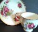 Romantic Queens Rosina Cottage And Roses Teacup & Saucer English Fine Bone China Cups & Saucers photo 3