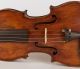 Antique 120 Years Old Italian 4/4 Violin J.  F.  Pressenda 1834 Geige Violon ヴァイオリン String photo 3