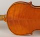 Impressive Old Italian 4/4 Violin Lab.  : A.  Poggi 1954 Geige Violon ヴァイオリン String photo 7