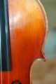 Antique Handmade German 4/4 Violin - Label Celeste Farotti Milano 1938 String photo 3
