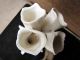 Antique Creamware Spill Vase - Victorian Georgian White Specimen Horn Shape Vase Vases photo 3