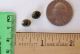 Buttons Small Victorian Green Glass Painted Brass Diminutive Extra Small Doll Buttons photo 1