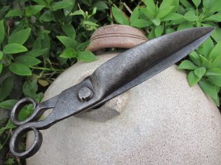 Antique Handmade Blacksmith Iron Shape Large 11,  5 In.  Scissors Farm Tool photo
