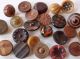 Buttons Small Vegetable I Antique Like ' Beads ' Tagua Nut Buttons photo 1