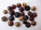 Buttons Small Vegetable I Antique Like ' Beads ' Tagua Nut Buttons photo 3