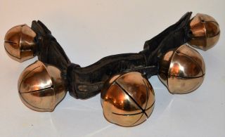 Antique Large Solid Brass Sleigh Bells Mounted On Leather Strap photo