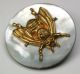 Antique Shell Button W/ Brass Housefly Escutcheon 1 & 1/8 Inch Buttons photo 1