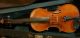 Old Italian Violin String photo 3