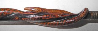 Wwi Carved Wood Penholder With A Coiled Snake And Marked Souvenir De La Guerre photo