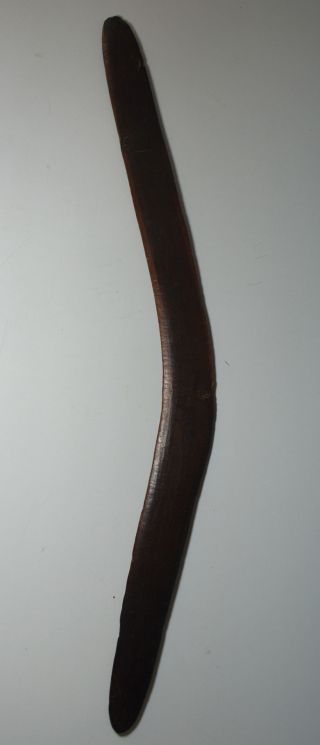 Australian Tribal Art Fine 19th Century Antique Aboriginal Boomerang photo