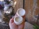 Antique,  Ceramic,  American White Pond ' S Chemist Areca Nut Tooth Paste Jar Pot Lid Bottles & Jars photo 2