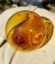 Japanese Hand Blown Glass Fishing Net Floats Old Vtg Buoy Amber 12 