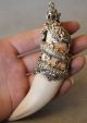 Chinese Antique Boars Tooth Wild Hog Silver Dragon Protective Talisman Pendant W Other Antique Chinese Statues photo 5