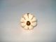 Rare Ceramic Antique Drawer/wardrobe/door Knobs.  G16 - 22 Door Knobs & Handles photo 2