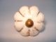 Rare Ceramic Antique Drawer/wardrobe/door Knobs.  G16 - 22 Door Knobs & Handles photo 3