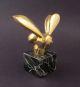 Art Deco Gaston Lachaise Honey Bee Radiator Cap Sculpture Art Deco photo 5