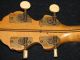 Antique Orpheum 4 String Banjo No.  1,  Made By Rettberg & Lance,  York String photo 7