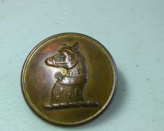 Uk C.  1820 Captured Bear W Muzzle/collar 1 Piece Convex Livery Button Split Anvil photo