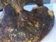 Zealand Kauri Gum Amber Statue Bird Very Rare 3 Pounds Other Antiquities photo 10