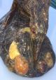 Zealand Kauri Gum Amber Statue Bird Very Rare 3 Pounds Other Antiquities photo 2