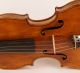 C.  Tononi 1729 4/4 Old Violin Geige Violon Ready To Play String photo 4