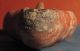 Roman North African Pottery Oil Lamp 4 - 5 Century Ad With Christian Symbol. Roman photo 5
