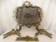 19thc Antique French Rococo Floral Victorian Bronze Fireplace Fire Screen Fender Hearth Ware photo 7