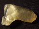 A Very Translucent Libyan Desert Glass Artifact Ancient Tool 6.  21gr Neolithic & Paleolithic photo 2