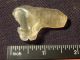 A Very Translucent Libyan Desert Glass Artifact Ancient Tool 6.  21gr Neolithic & Paleolithic photo 5
