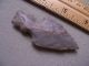 Unusual Authentic Early Woodland Point From Crawford Co. ,  Illinois The Americas photo 3