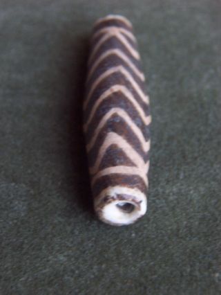 Pumtek Burmese Fossil Wood Bead - 6 Zig - Zag Stripes - 47mm (2) photo