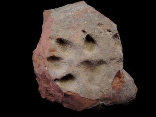 Extremely Rare Roman Brick Fragment With Huge Wolf Or Dog Paw Print, photo