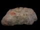 Extremely Rare Roman Brick Fragment With Huge Wolf Or Dog Paw Print, Roman photo 2