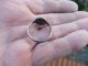 Large Size Medieval Silver Seal Ring Fleur De Lis British photo 2