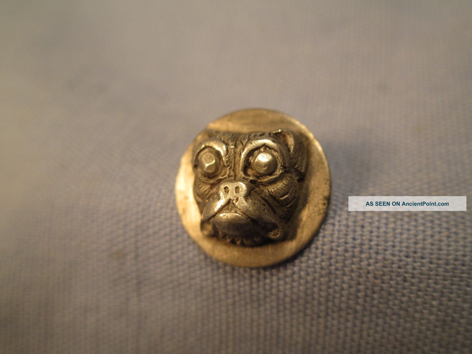 Antique Picture Button - Boxer Dog W/ Cut Steel Eyes / Db 130 Buttons photo