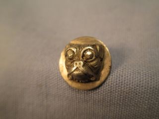 Antique Picture Button - Boxer Dog W/ Cut Steel Eyes / Db 130 photo