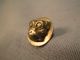 Antique Picture Button - Boxer Dog W/ Cut Steel Eyes / Db 130 Buttons photo 1