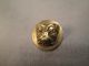 Antique Picture Button - Boxer Dog W/ Cut Steel Eyes / Db 130 Buttons photo 4