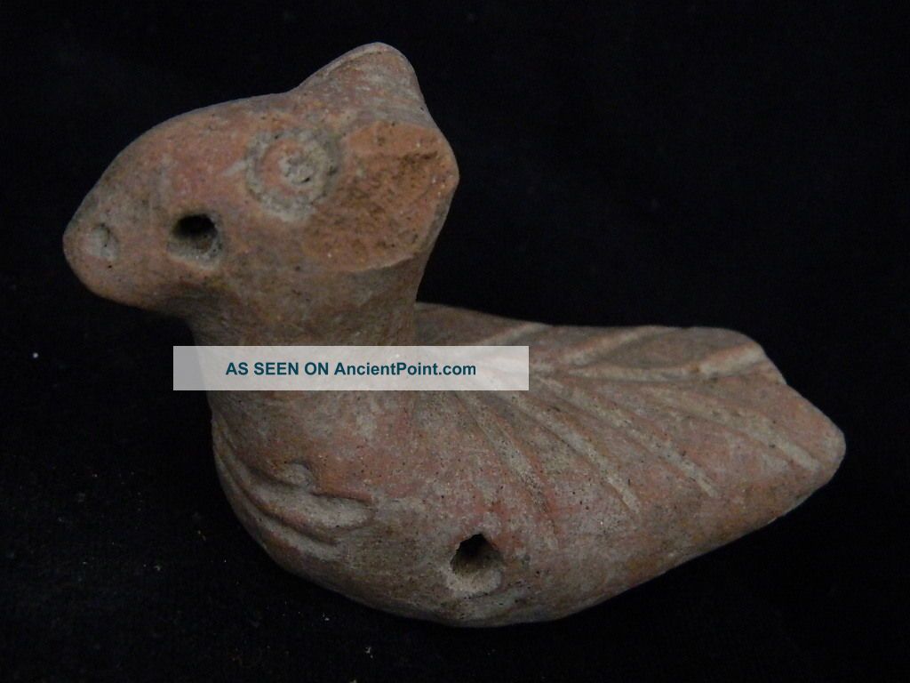 Ancient Teracotta Bird Indus Valley 600 Bc Tr15012 Egyptian photo