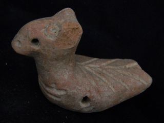 Ancient Teracotta Bird Indus Valley 600 Bc Tr15012 photo