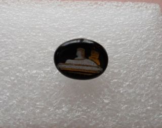 Antique 19th C Oval Shiny Black Glass Button W/ Gold & White Spinx photo