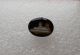 Antique 19th C Oval Shiny Black Glass Button W/ Gold & White Spinx Buttons photo 1