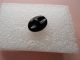 Antique 19th C Oval Shiny Black Glass Button W/ Gold & White Spinx Buttons photo 4