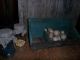 Primitive Wooden Wall Box,  Hoosier Green (3) Cubbies,  Pantry Jars,  Gourds,  Bin Primitives photo 1
