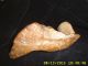 Pre Historic Authentic Paint Pot With Pestle Spring River Ar The Americas photo 2